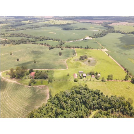 Sitio a venda sp Regiao Itapetininga lavoura cana pecuaria 26.5 alqueires