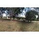 Sitio a venda sp Alto Padrão Cassia dos Coqueiros Regiao Ribeirao Preto
