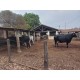 Sitio a venda mg Sul de Minas montado Regiao Paraiso 7 alqueires