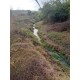 Sitio a venda mg Sul de Minas montado Regiao Paraiso 7 alqueires