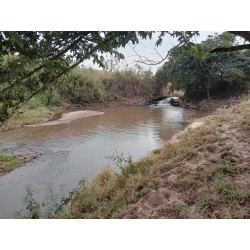 Sitio a venda mg Sul de Minas montado Regiao Paraiso 7 alqueires