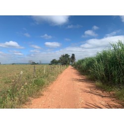 Sitio a venda sp cana Mococa Regiao Campinas Ribeirao Preto 14 alqueires