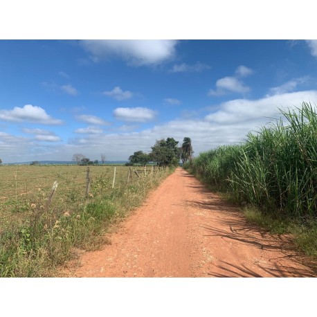 Sitio a venda sp cana Mococa Regiao Campinas Ribeirao Preto 14 alqueires