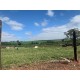 Sitio a venda sp cana Mococa Regiao Campinas Ribeirao Preto 14 alqueires