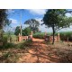 Sitio a venda sp cana Mococa Regiao Campinas Ribeirao Preto 14 alqueires