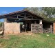 Sitio a venda sp cana Mococa Regiao Campinas Ribeirao Preto 14 alqueires