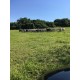 SITIO A VENDA mg REGIAO PARAISO MG MONTE SANTO DE MINAS 7 ALQUEIRES