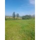 SITIO A VENDA mg REGIAO PARAISO MG MONTE SANTO DE MINAS 7 ALQUEIRES