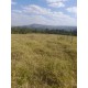 Sitio a venda sp Regiao Campinas Mococa Ribeirao Preto 21 alqueires
