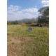 Sitio a venda sp Regiao Campinas Mococa Ribeirao Preto 21 alqueires