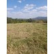 Sitio a venda sp Regiao Campinas Mococa Ribeirao Preto 21 alqueires