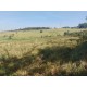Sitio a venda sp Regiao Mococa Campinas Ribeirao Preto 18.5 alqueires