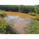 Sitio a venda sp Regiao Mococa Campinas Ribeirao Preto 18.5 alqueires