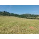 Sitio a venda sp Regiao Mococa Campinas Ribeirao Preto 18.5 alqueires