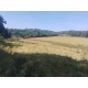 Sitio a venda sp Regiao Mococa Campinas Ribeirao Preto 18.5 alqueires