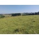 Sitio a venda sp Regiao Mococa Campinas Ribeirao Preto 18.5 alqueires