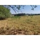 Sitio a venda sp Regiao Mococa Campinas Ribeirao Preto 18.5 alqueires