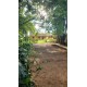 Sitio a venda mg Monte Santo de Minas Regiao Paraiso Sul de Minas 5 alqueires