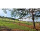 Sitio a venda mg Monte Santo de Minas Regiao Paraiso Sul de Minas 5 alqueires