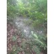Sitio a venda sp cana Regiao Campinas Mococa Ribeirao Preto 11 alqueires