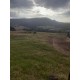 Sitio a venda sp Ribeirao Preto Cassia dos Coqueiros Mococa 4.2 alqueires