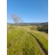 Sitio a venda mg Regiao Paraiso Monte Santo de Minas Sul de Minas 16 alqueires paulista
