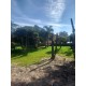 SITIO A VENDA mg PEQUENO LAZER MONTADO RIBEIRAO PRETO MOCOCA 3.6 HA