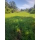 SITIO A VENDA mg PEQUENO LAZER MONTADO RIBEIRAO PRETO MOCOCA 3.6 HA
