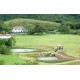 FAZENDA HISTÓRICA À VENDA sp Pousada