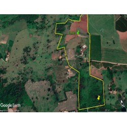 Sitio a venda mg Sul de Minas Arceburgo lavoura pecuaria 10 alqueires