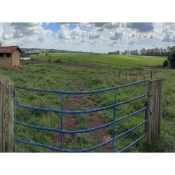 Fazenda a venda sp regiao Rio Preto Monte Aprazivel pecuaria