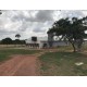 Fazenda a venda mg Triangulo Mineiro Regiao Uberlandia Suino cultura Avicultura Pecuaria 32 alqueires Paulista ou 78 hectares