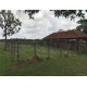 Fazenda a venda mg Triangulo Mineiro Regiao Uberlandia Suino cultura Avicultura Pecuaria 32 alqueires Paulista ou 78 hectares