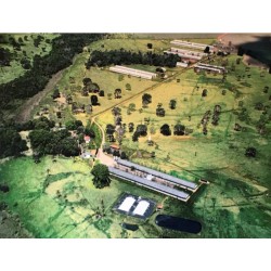 Fazenda a venda mg Triangulo Mineiro Regiao Uberlandia Suino cultura Avicultura Pecuaria 32 alqueires Paulista ou 78 hectares