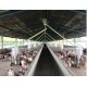 Fazenda a venda mg Regiao Uberlandia Avicultura Suino cultura Pecuaria 32 alqueires Paulista 78 ha