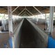 Agronegocio a venda mg Fazenda empresa Triangulo Mineiro ativo Avicultura Suino cultura Pecuaria 78 ha