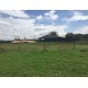 Agronegocio a venda mg Fazenda empresa Triangulo Mineiro ativo Avicultura Suino cultura Pecuaria 78 ha