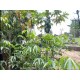 Sitio a venda mg Sul de Minas lazer pecuaria 6 ha 2.5 alqueires