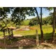 Sitio a venda mg Sul de Minas lazer pecuaria 6 ha 2.5 alqueires