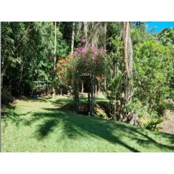 Sitio a venda sp Ribeirao Preto aptidão Pousada ecologica pesqueiro 16 alqueires
