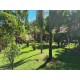 Pesqueiro a venda sp ecologico montado regiao Ribeirao Preto Mococa Monte Santo de Minas