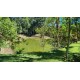 Pesqueiro a venda sp ecologico montado regiao Ribeirao Preto Mococa Monte Santo de Minas