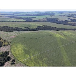 Fazenda a venda go Sul de Goias lavoura dupla aptidao Regiao Ipameri