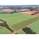 Fazenda a venda go Sul de Goias lavoura dupla aptidao Regiao Ipameri