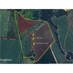 Fazenda a venda sp cana Ribeirao Preto Jardinopolis 41.68 ha 17.2 alqueires