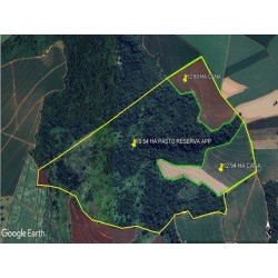Fazenda a venda sp cana Ribeirao Preto 96.17 ha 46.69 alqueires