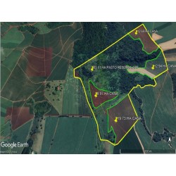 Fazenda a venda sp cana Ribeirao Preto Jardinopolis dupla aptidão 137.87 ha 56.9 alqueires