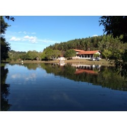 Sitio a venda sp Cassia dos Coqueiros Regiao Ribeirao Preto lazer produtivo