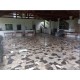 Sitio a venda sp Cassia dos Coqueiros Regiao Ribeirao Preto lazer produtivo