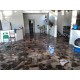 Sitio a venda sp Cassia dos Coqueiros Regiao Ribeirao Preto lazer produtivo